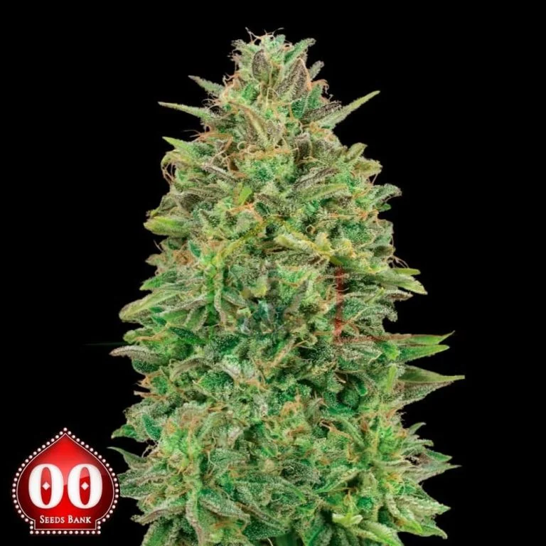 00 SKUNK
