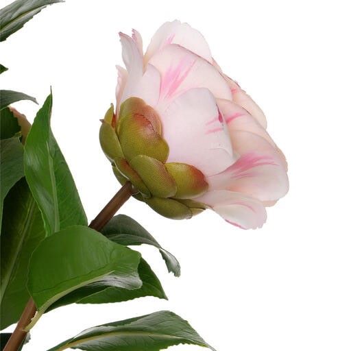 Tallo de Camelia Artificial Rosa Claro con Capullos - Imagen 4