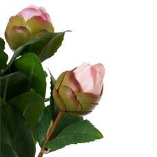 Tallo de Camelia Artificial Rosa Claro con Capullos - Imagen 5