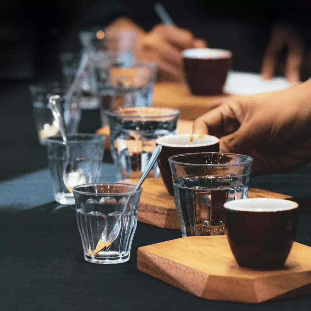 Degustación de café con los 5 sentidos - Imagen 5