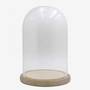Campana Alta de Cristal con Base de Madera Natural
