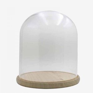 Campana de Cristal con Base de Madera Natural