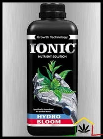 IONIC HYDRO BLOOM