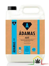 AGATE – ÁDAMAS