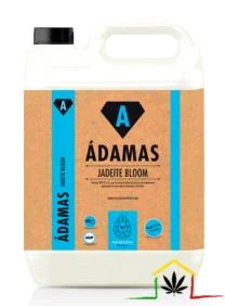 JADEITE BLOOM – ÁDAMAS