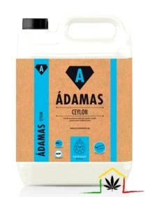 CEYLON – ÁDAMAS
