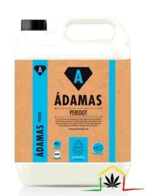 PERIDOT – ADAMAS