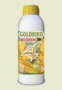 GOLDBIRD BLOOM