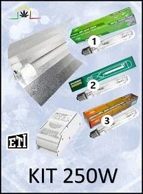 KIT ILUMINACION 250W BASICO