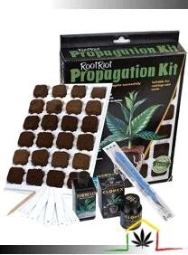 KIT PROPAGADOR ROOT RIOT