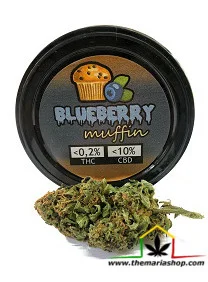 FLORES DE CBG BLUEBERRY MUFFIN
