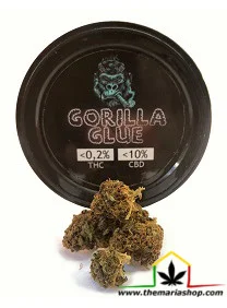 FLORES DE CBG GORILLA GLUE