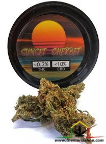 FLORES CBG SUNSET SHERBET