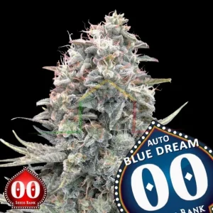 AUTO BLUE DREAM