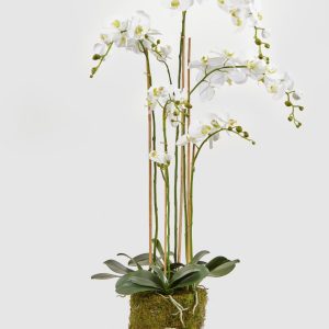 Orquídea Blanca Artificial XL de Múltiples Varas con Base Natural