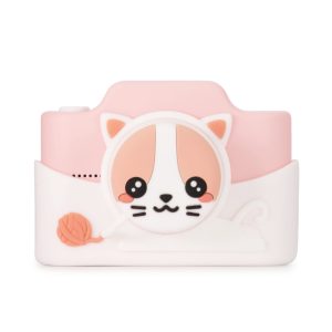 CAMARA CON TAPA – GATO