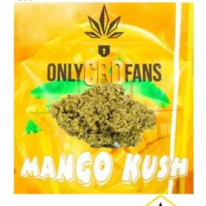 FLOR CBD MANGO KUSH
