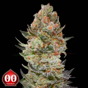 SWEET CRITICAL CBD