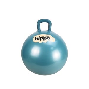 Pelota Saltarina Azul