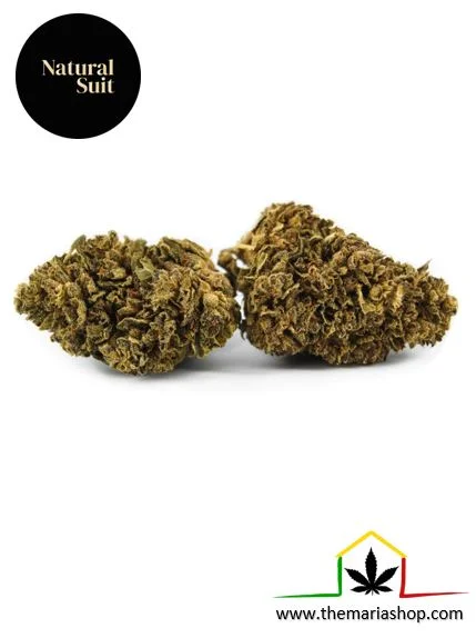 FLOR CBD WHITE WIDOW - Imagen 2
