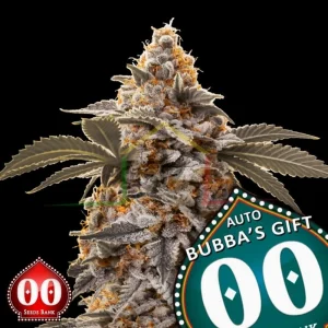AUTO BUBBA’S GIFT