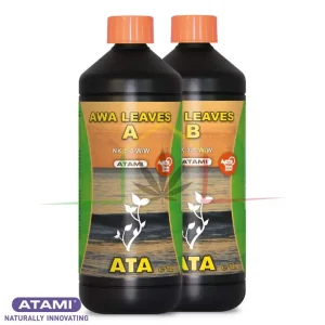 ATA AWA LEAVES A&B