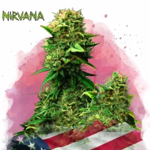 BLUE DREAM