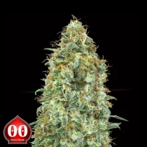 BLUEBERRY