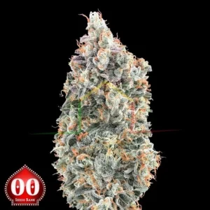 BLUEBERRY FAST
