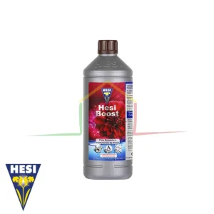 HESI BOOST