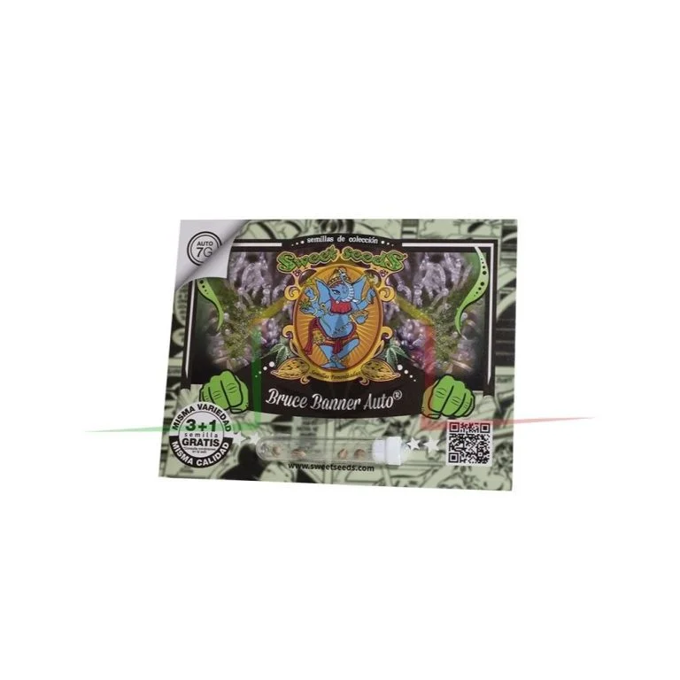 BRUCE BANNER AUTO - Imagen 3