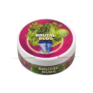 BRUTAL BUDS