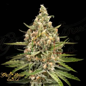 BUBBA SLUSH