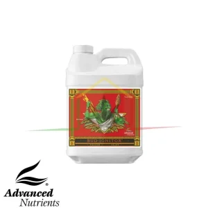 BUD IGNITOR