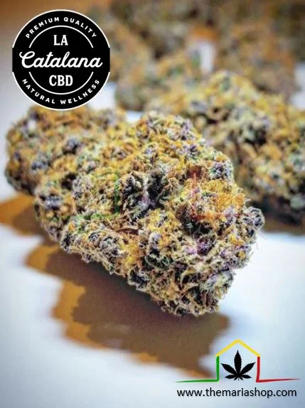 FLOR CBD CHANNEL + - Imagen 3