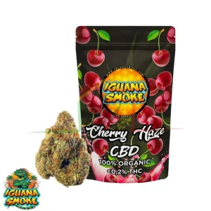FLOR CBD CHERRY HAZE