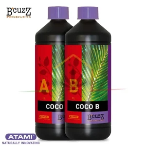 B’CUZZ COCO A&B