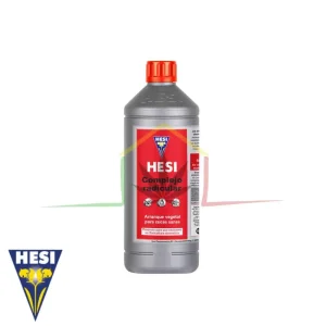 HESI COMPLEJO RADICULAR