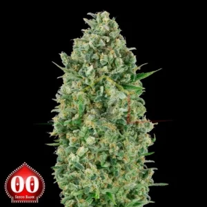 CRITICAL POISON