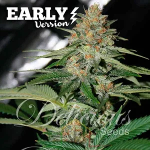DELICIOUS CANDY EARLY VERSION
