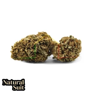 FLOR CBD JACK HERER