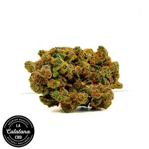 FLOR CBD AMNESIA KHALIFA