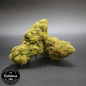 FLOR CBD BROOKLYN MANGO