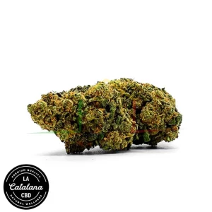 FLOR CBD NEW YORK DIESEL