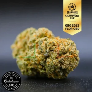 FLOR CBD REINA CATALANA