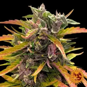 GORILLA GLUE AUTO