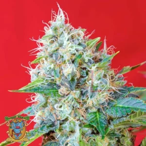 GREEN POISON