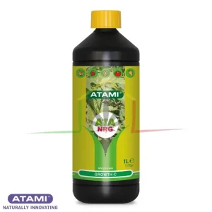 ATA NRG GROWTH-C