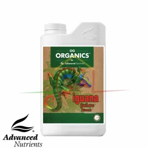IGUANA JUICE BLOOM