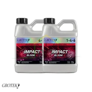 IMPACT BLOOM A + B